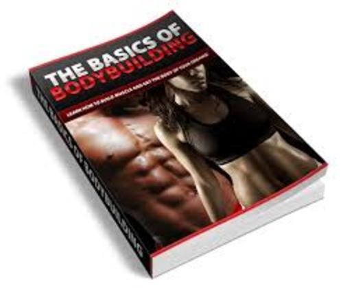 Product picture The Basics of Body Building