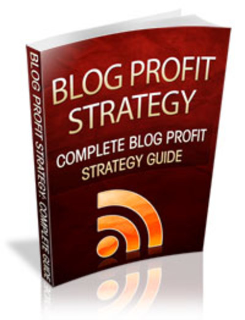 Product picture Blog Profit Strategy - PLR