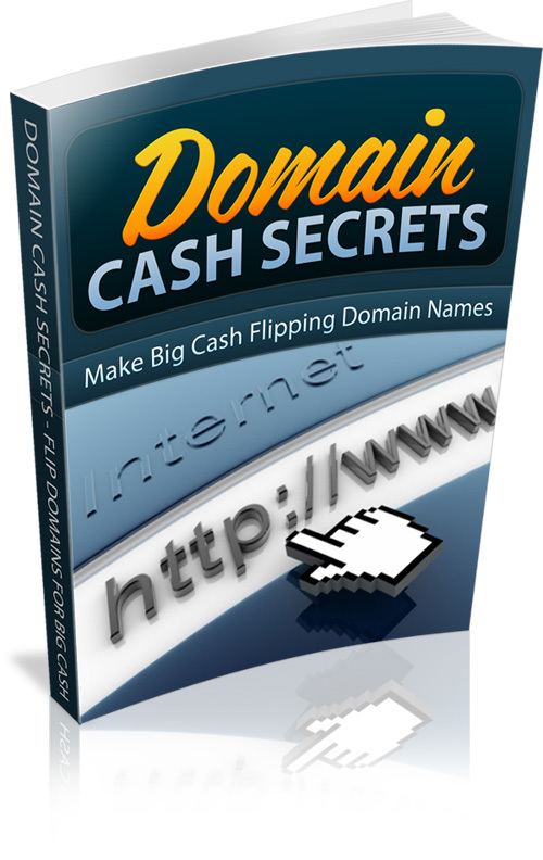 Product picture Make money with domain flips