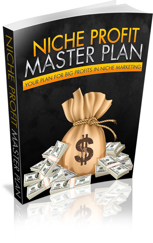 Product picture Niche profit master plan