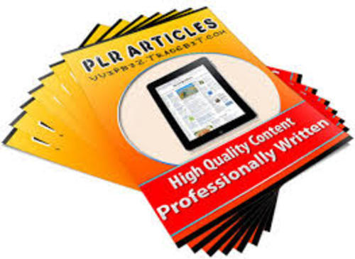 Product picture 2500 High Quality PLR Articles Pack